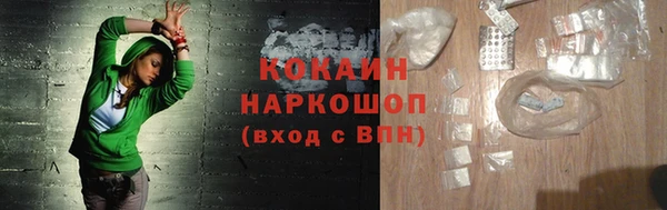 мет Ельня