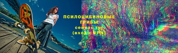 крисы Магадан