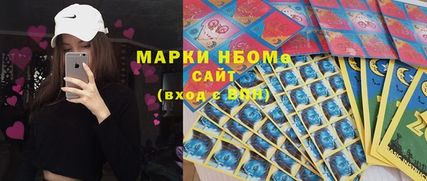 мет Ельня
