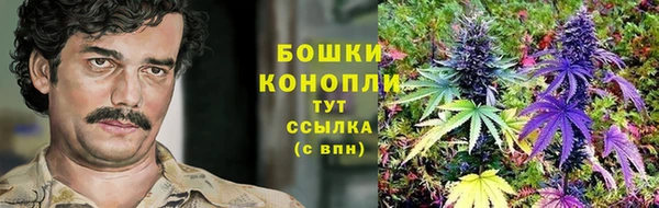 MDMA Дмитриев