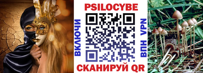 Галлюциногенные грибы мицелий  Вытегра 